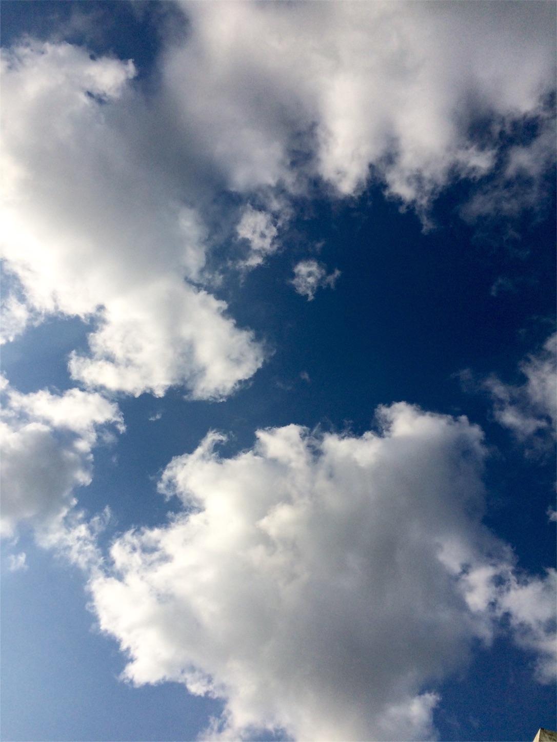 f:id:m-hatch:20151228213352j:image f:id:m-hatch:20151228213352j:image