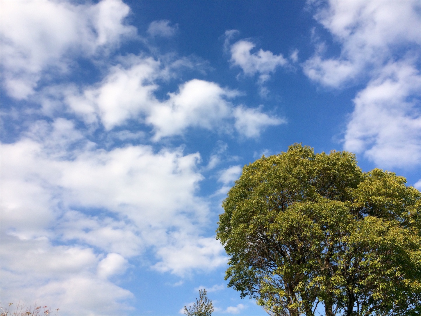 f:id:m-hatch:20151230213418j:image f:id:m-hatch:20151230213418j:image
