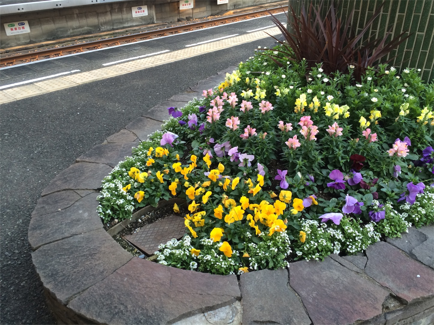 f:id:m-hatch:20160116213742j:image f:id:m-hatch:20160116213742j:image