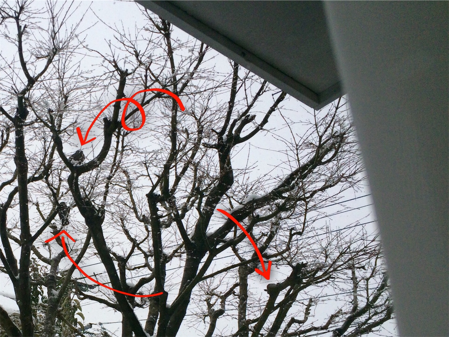 f:id:m-hatch:20160128004059j:image f:id:m-hatch:20160128004059j:image