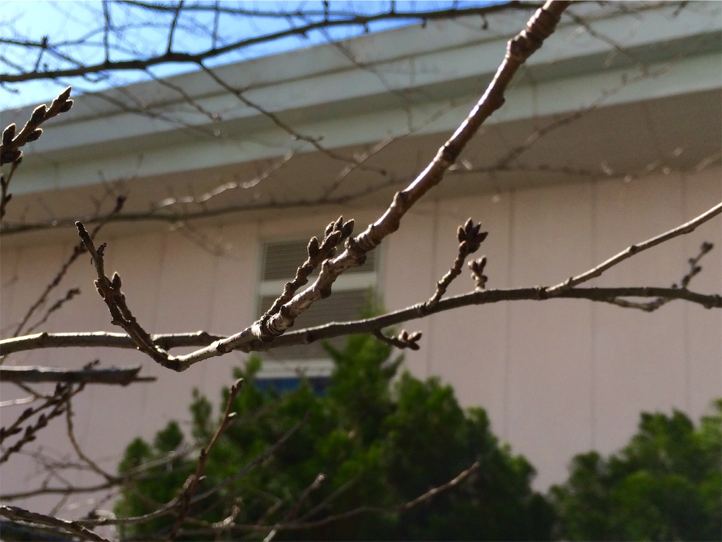 f:id:m-hatch:20160210222259j:image f:id:m-hatch:20160210222259j:image