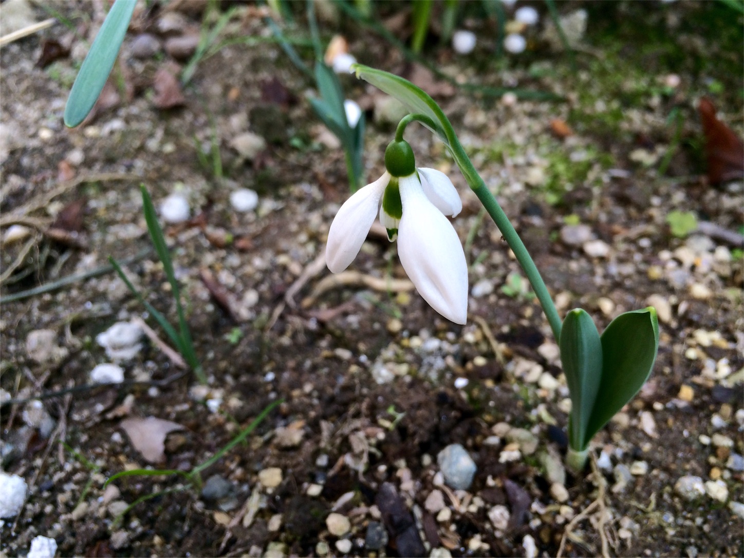 f:id:m-hatch:20160211205321j:image f:id:m-hatch:20160211205321j:image