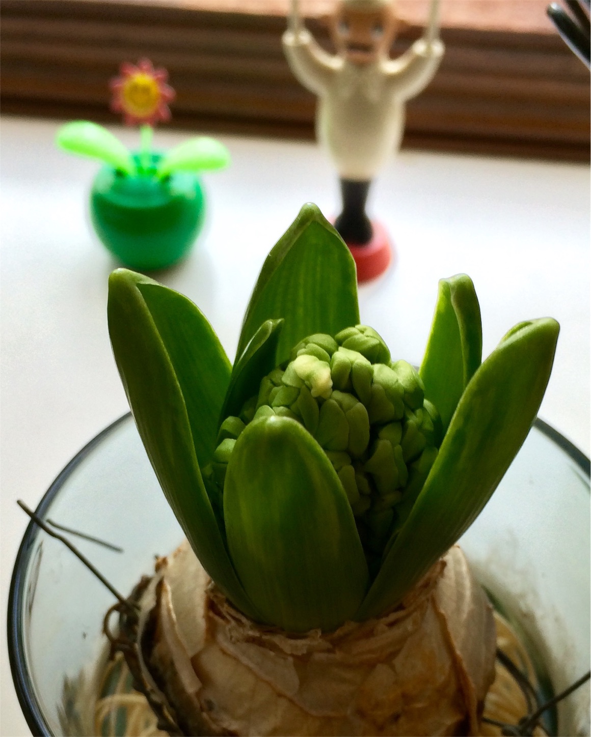 f:id:m-hatch:20160212221809j:image f:id:m-hatch:20160212221809j:image