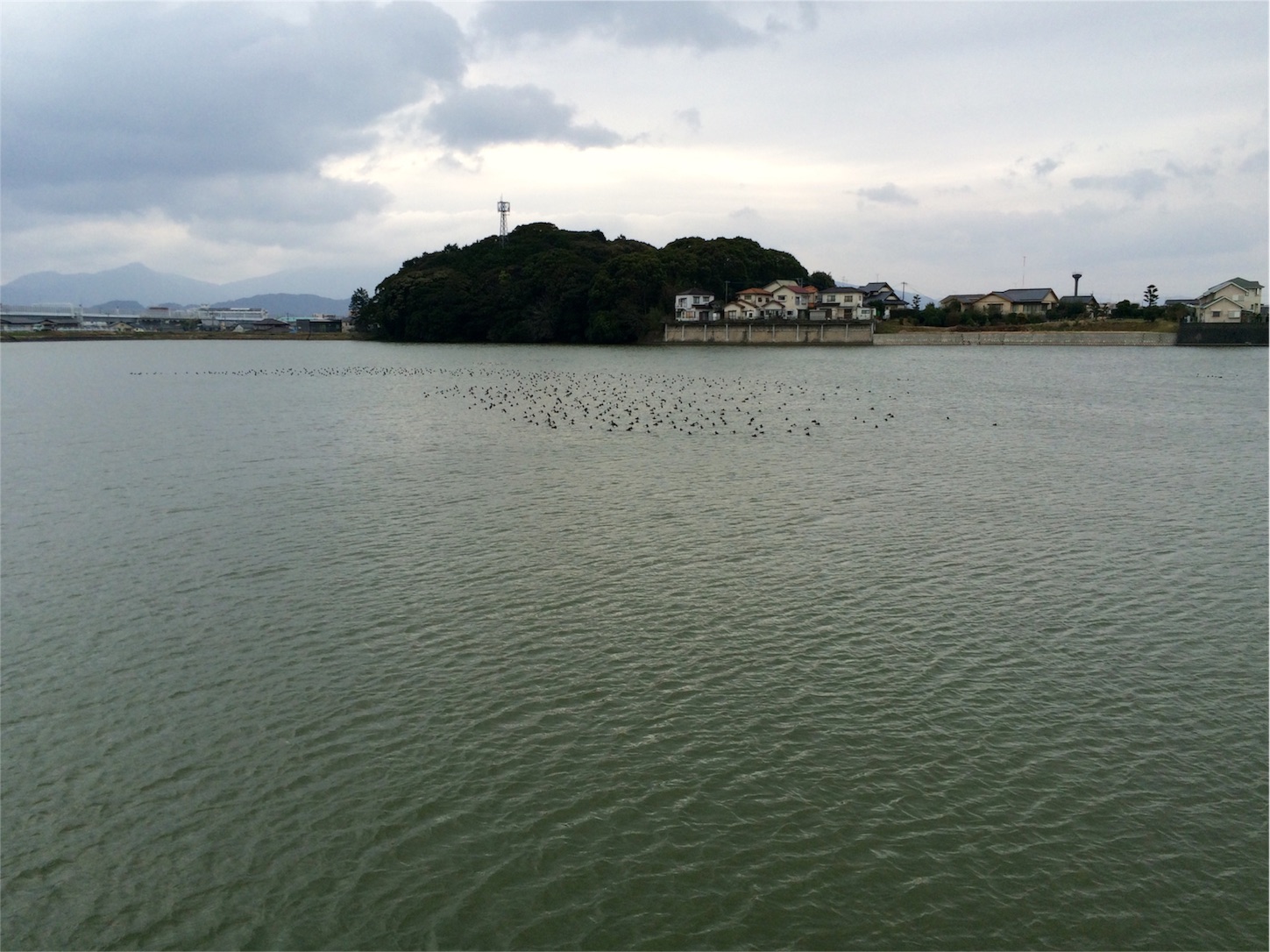 f:id:m-hatch:20160214214054j:image f:id:m-hatch:20160214214054j:image