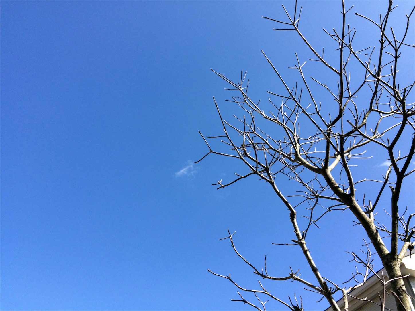 f:id:m-hatch:20160221235737j:image f:id:m-hatch:20160221235737j:image