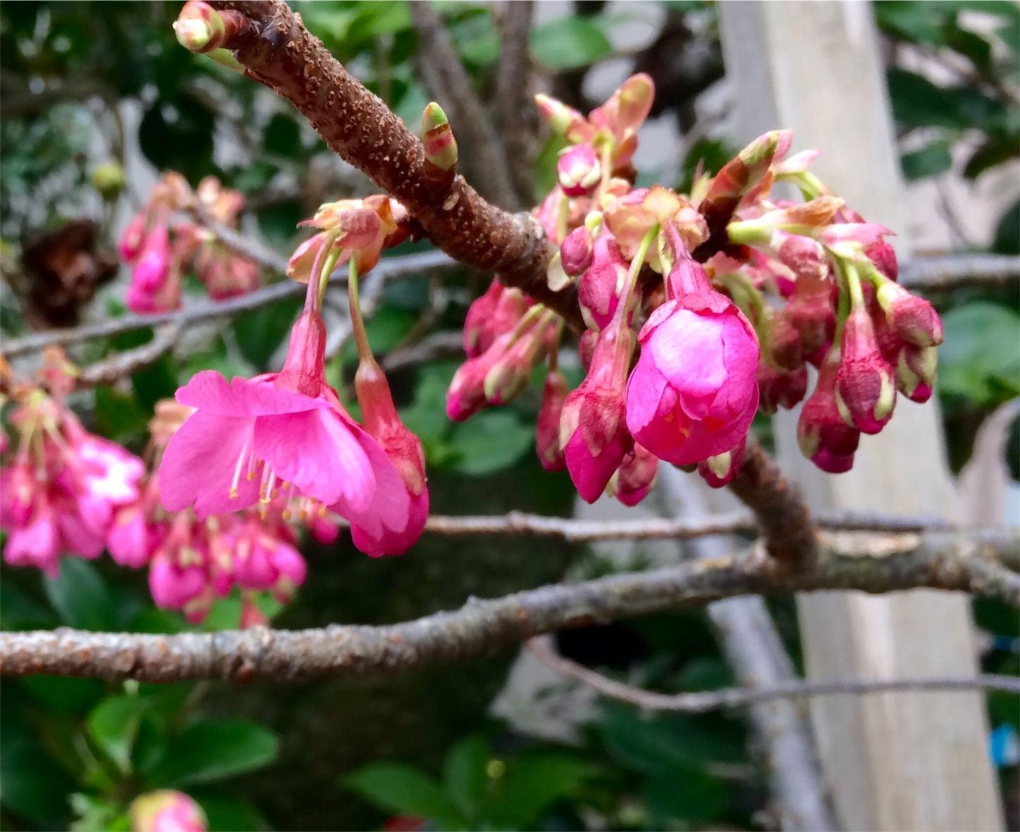 f:id:m-hatch:20160223225158j:image f:id:m-hatch:20160223225158j:image