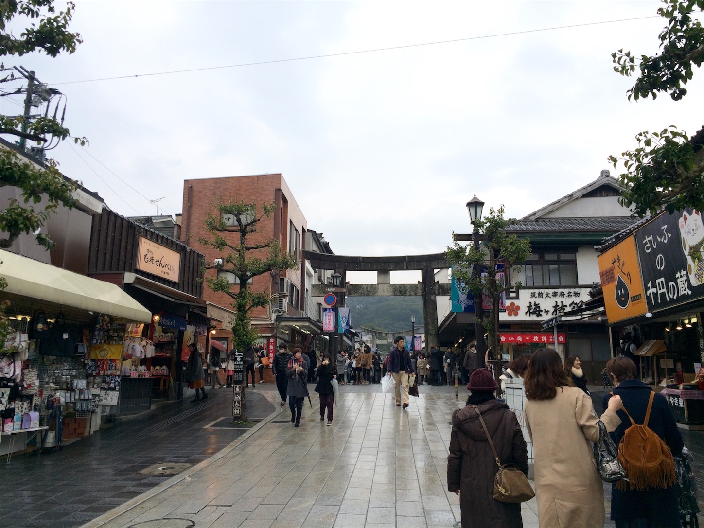 f:id:m-hatch:20160227211053j:image f:id:m-hatch:20160227211053j:image