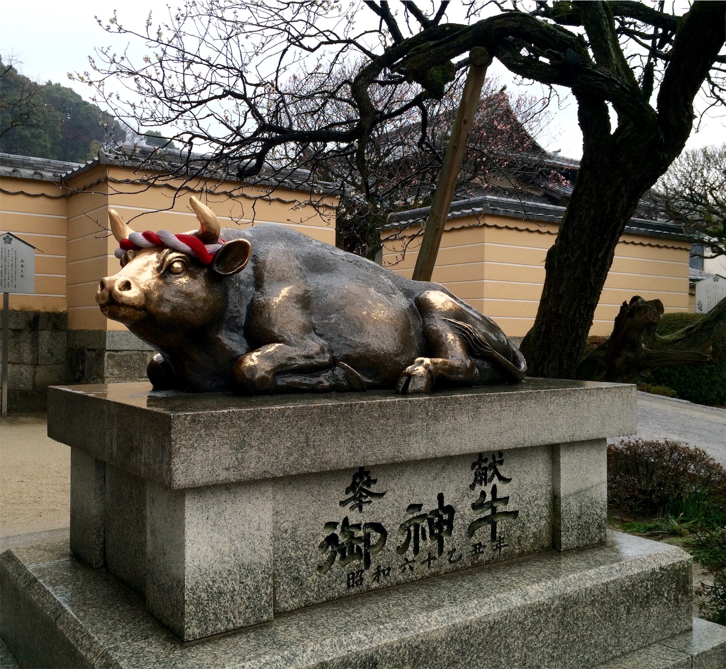 f:id:m-hatch:20160227214517j:image f:id:m-hatch:20160227214517j:image