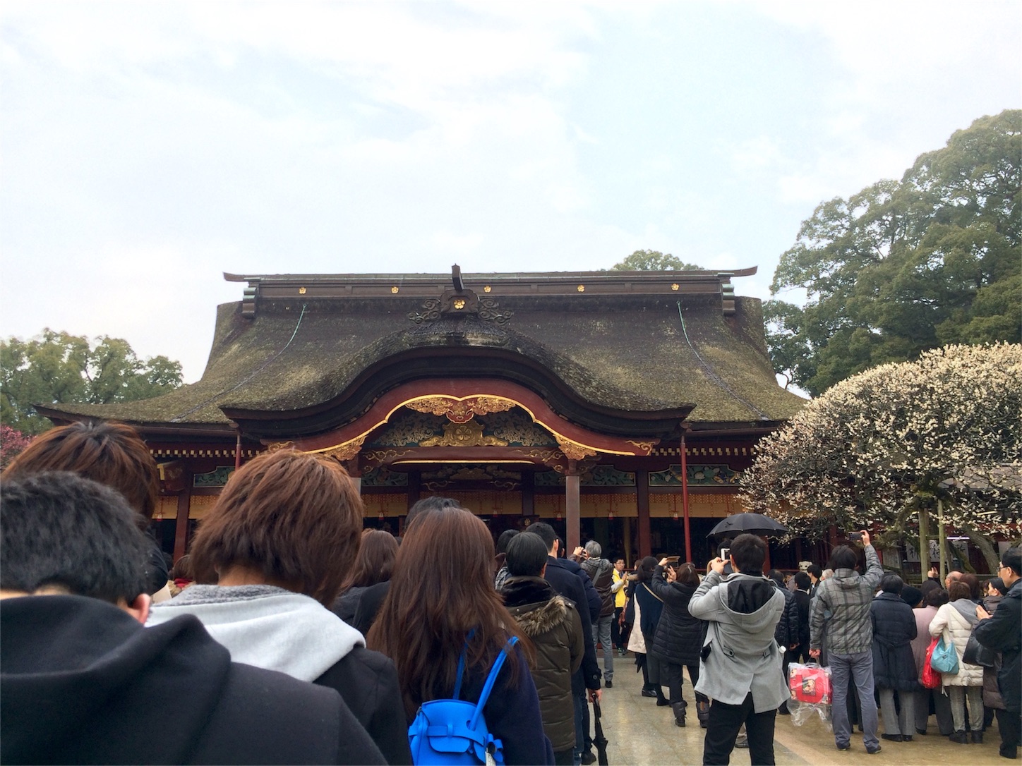 f:id:m-hatch:20160227232506j:image f:id:m-hatch:20160227232506j:image