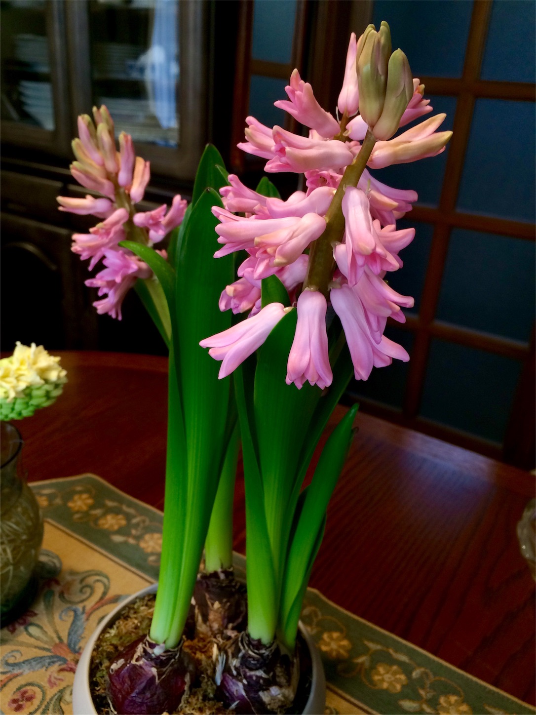 f:id:m-hatch:20160228203202j:image f:id:m-hatch:20160228203202j:image