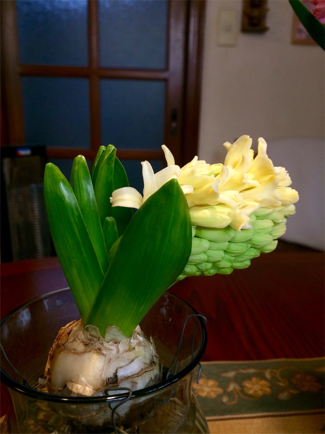 f:id:m-hatch:20160228203319j:image f:id:m-hatch:20160228203319j:image