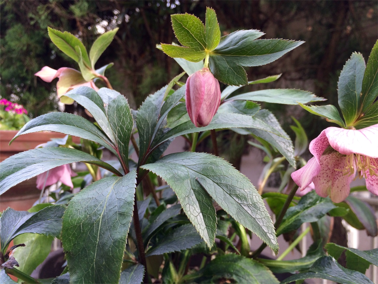f:id:m-hatch:20160306210253j:image f:id:m-hatch:20160306210253j:image