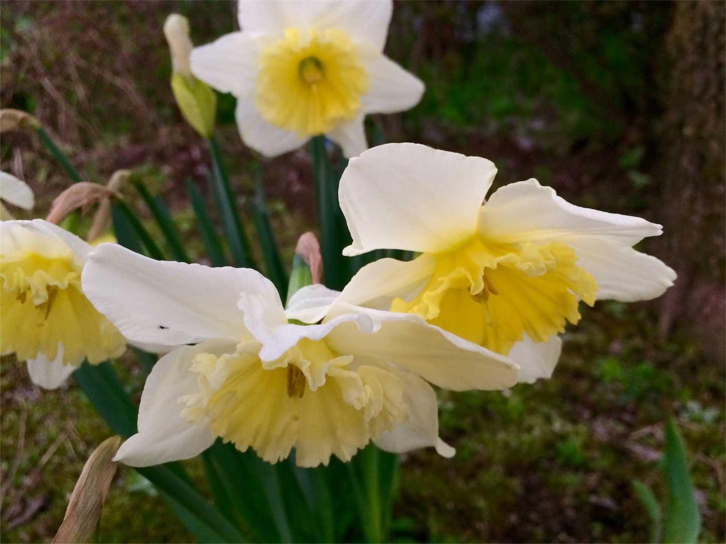 f:id:m-hatch:20160311222835j:image f:id:m-hatch:20160311222835j:image