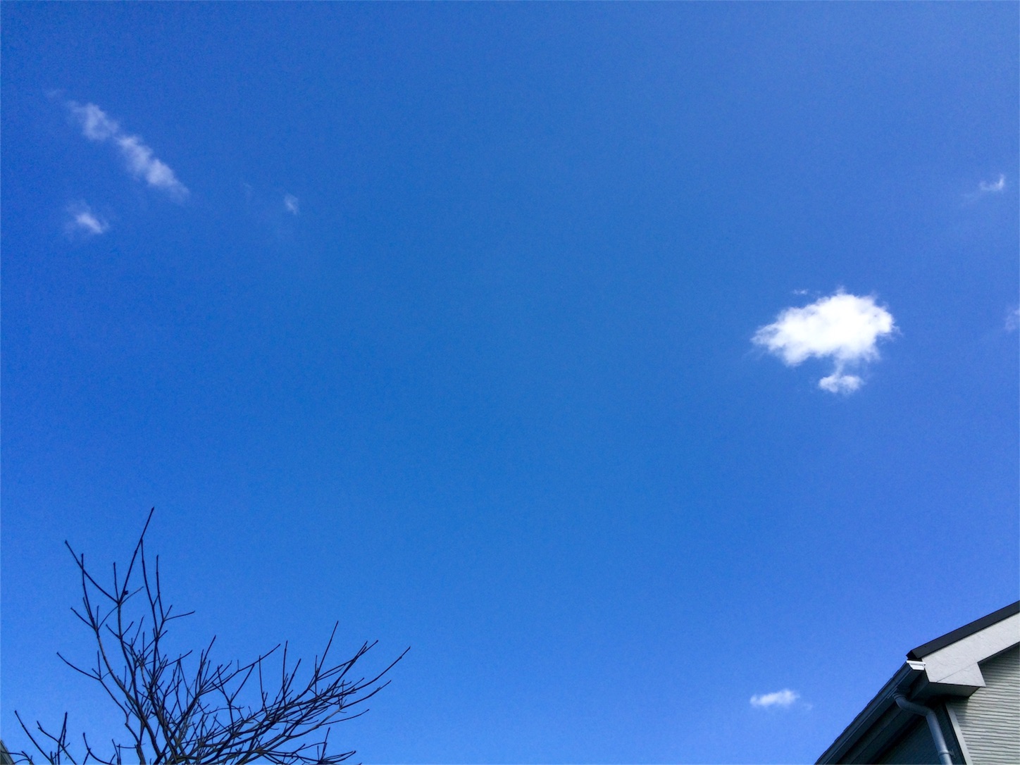f:id:m-hatch:20160314220404j:image f:id:m-hatch:20160314220404j:image