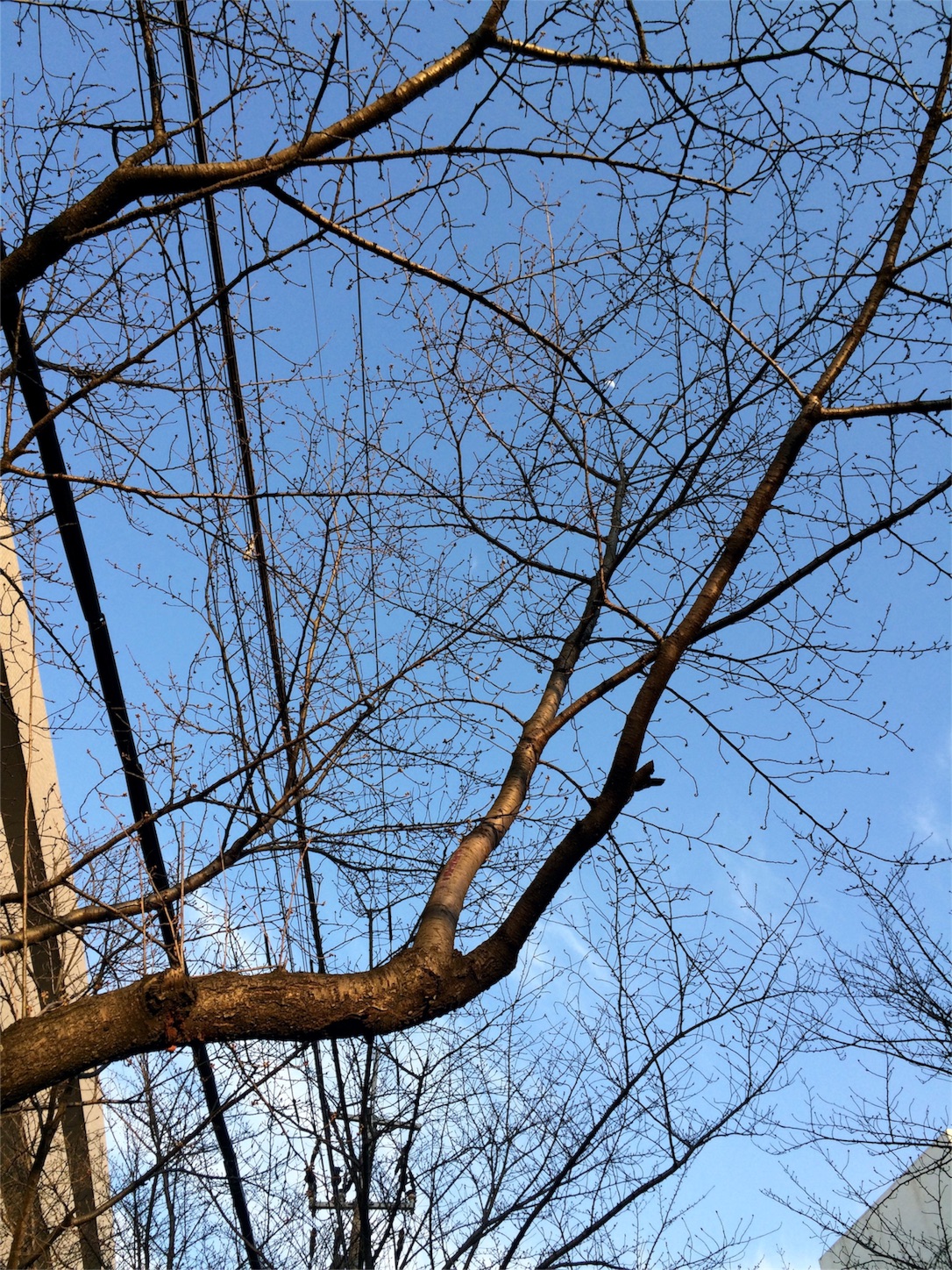 f:id:m-hatch:20160317000055j:image f:id:m-hatch:20160317000055j:image