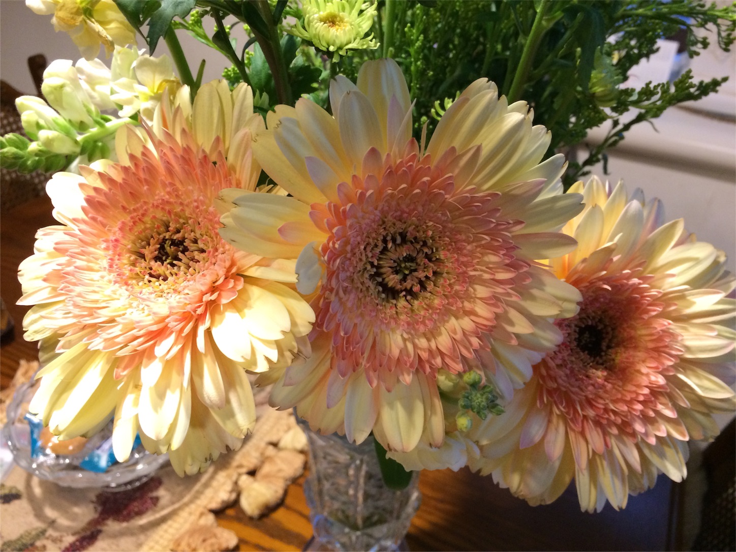 f:id:m-hatch:20160318232449j:image f:id:m-hatch:20160318232449j:image