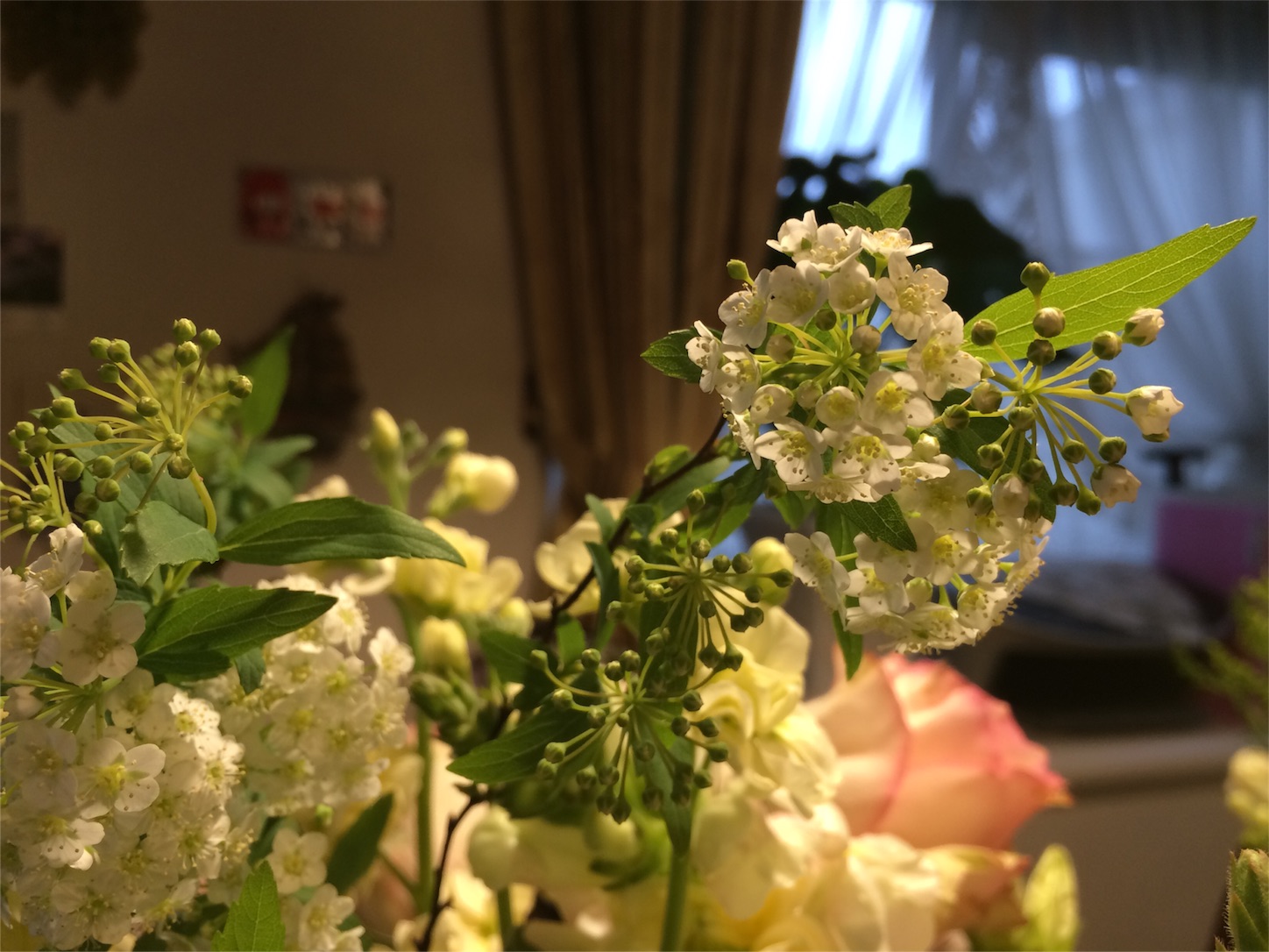 f:id:m-hatch:20160318232716j:image f:id:m-hatch:20160318232716j:image