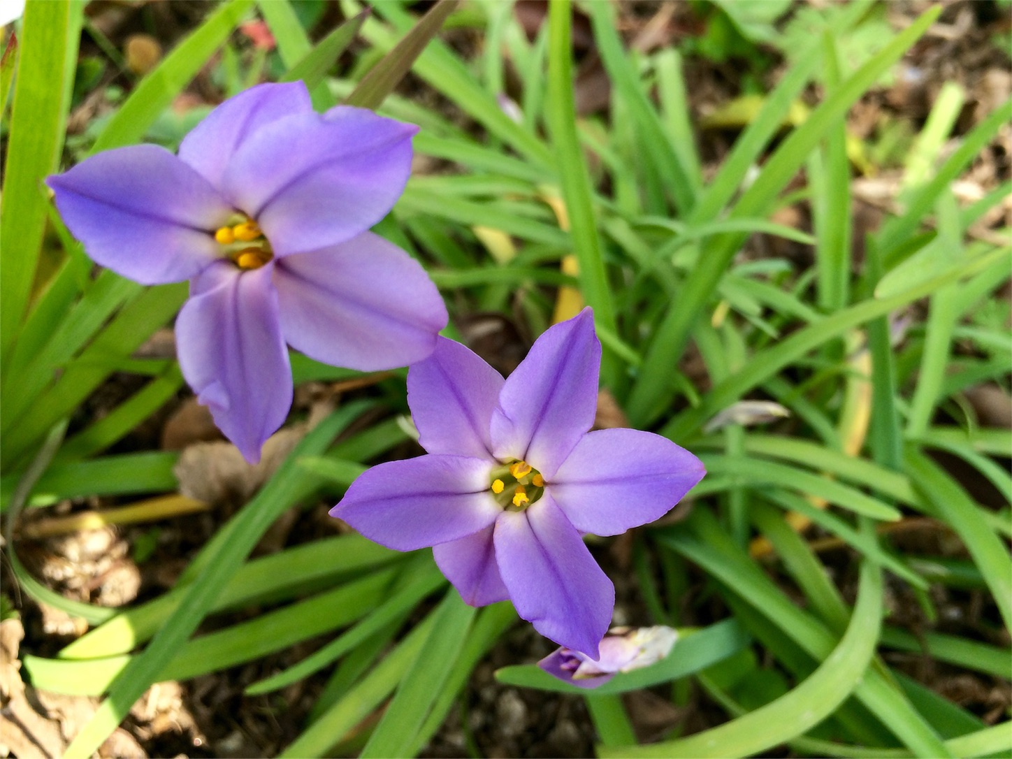 f:id:m-hatch:20160321224411j:image f:id:m-hatch:20160321224411j:image