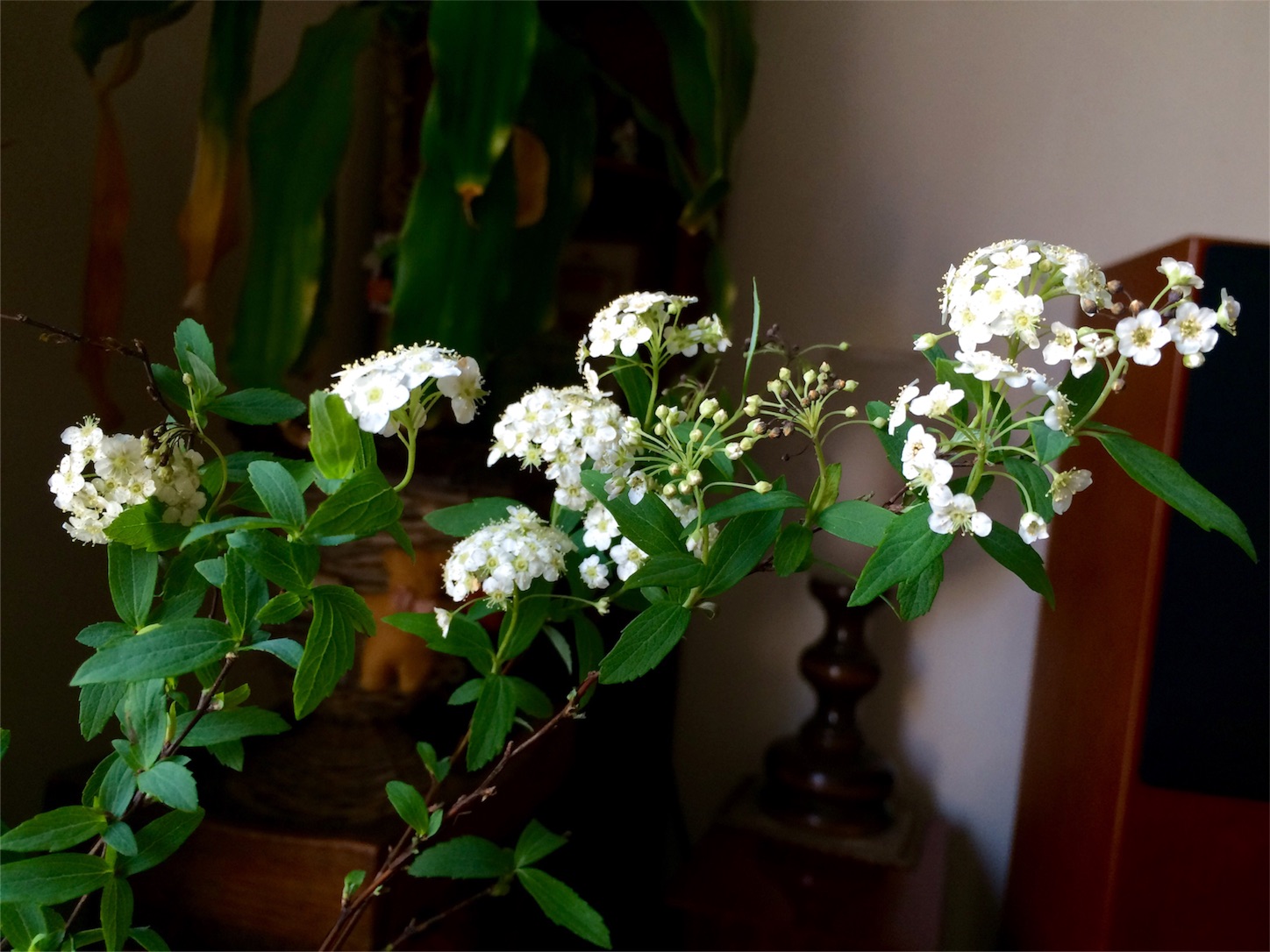 f:id:m-hatch:20160327215132j:image f:id:m-hatch:20160327215132j:image