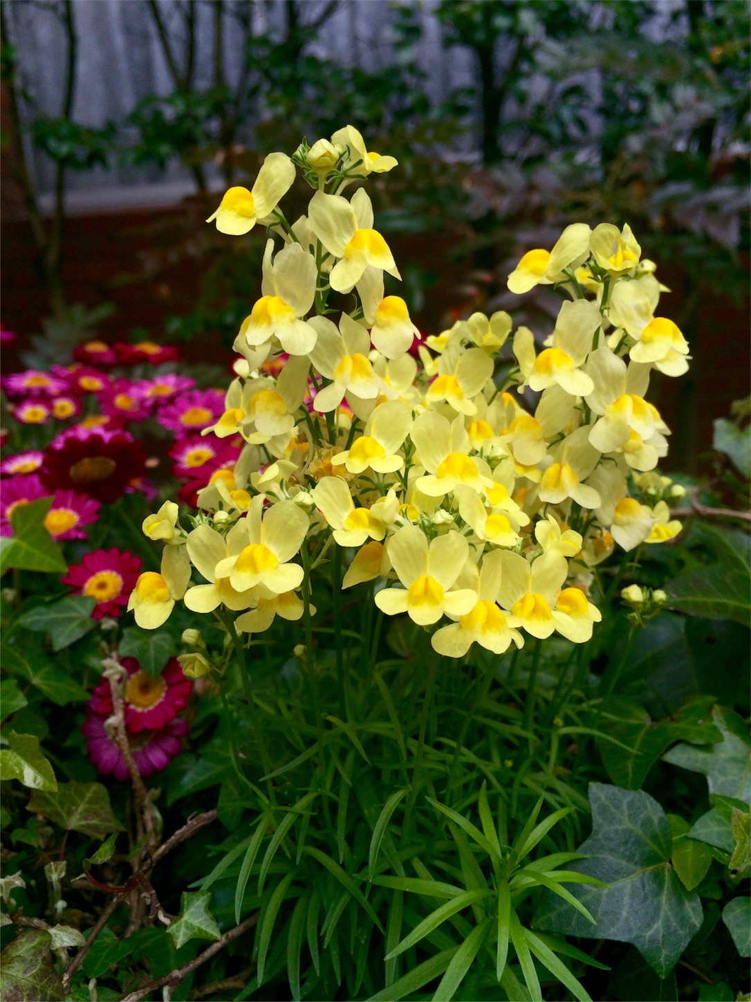 f:id:m-hatch:20160402221338j:image f:id:m-hatch:20160402221338j:image