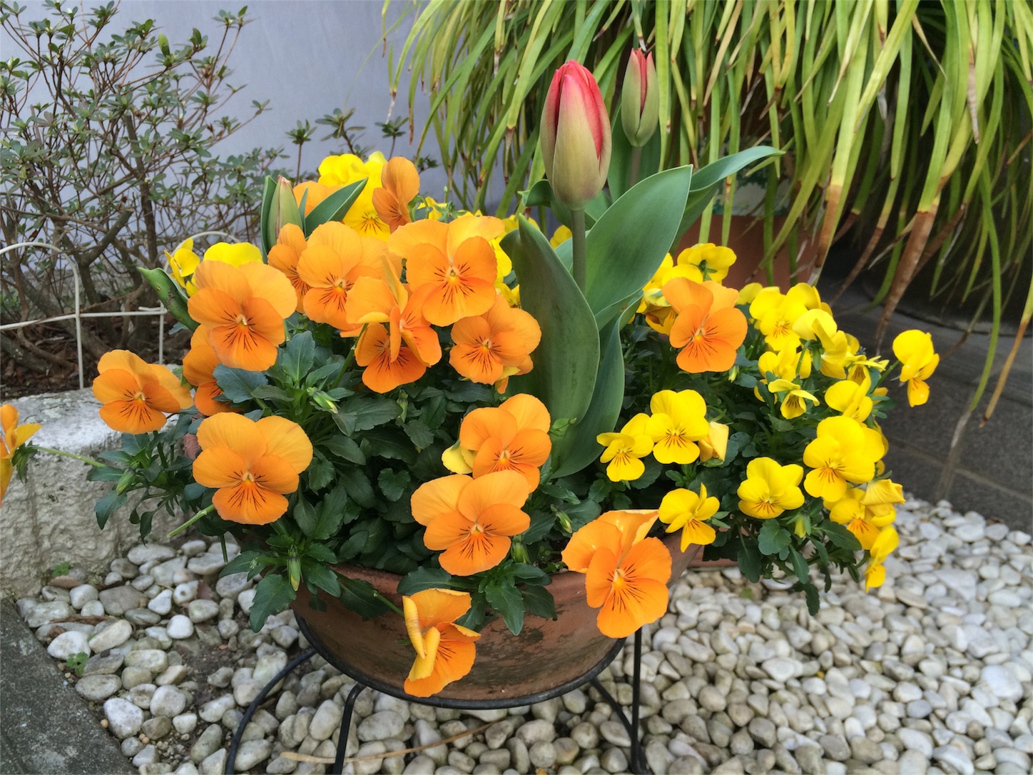 f:id:m-hatch:20160402221631j:image f:id:m-hatch:20160402221631j:image