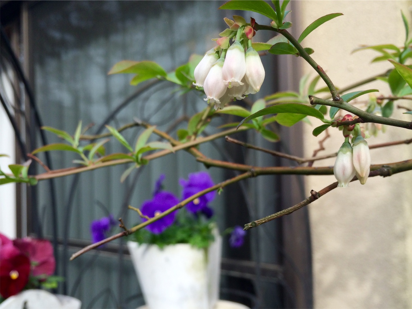 f:id:m-hatch:20160407230203j:image f:id:m-hatch:20160407230203j:image