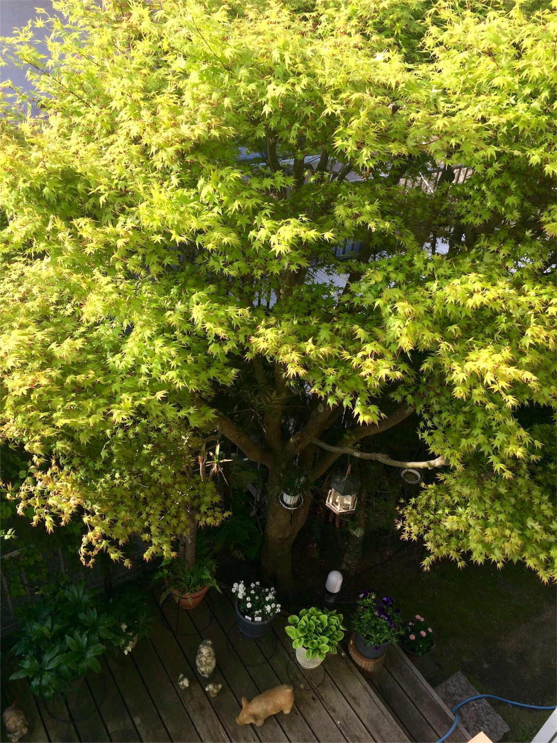 f:id:m-hatch:20160414002208j:image f:id:m-hatch:20160414002208j:image