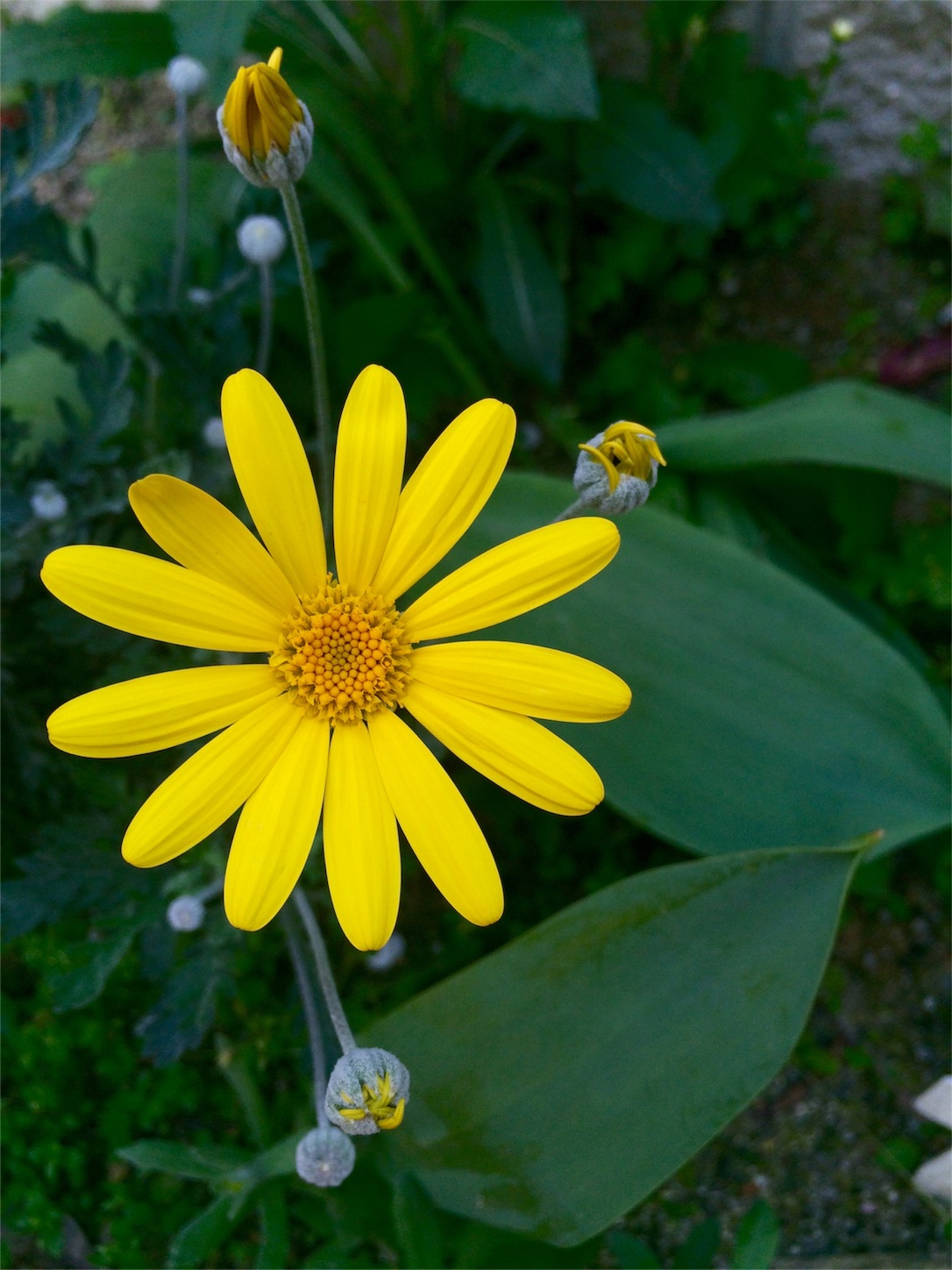 f:id:m-hatch:20160417234107j:image f:id:m-hatch:20160417234107j:image