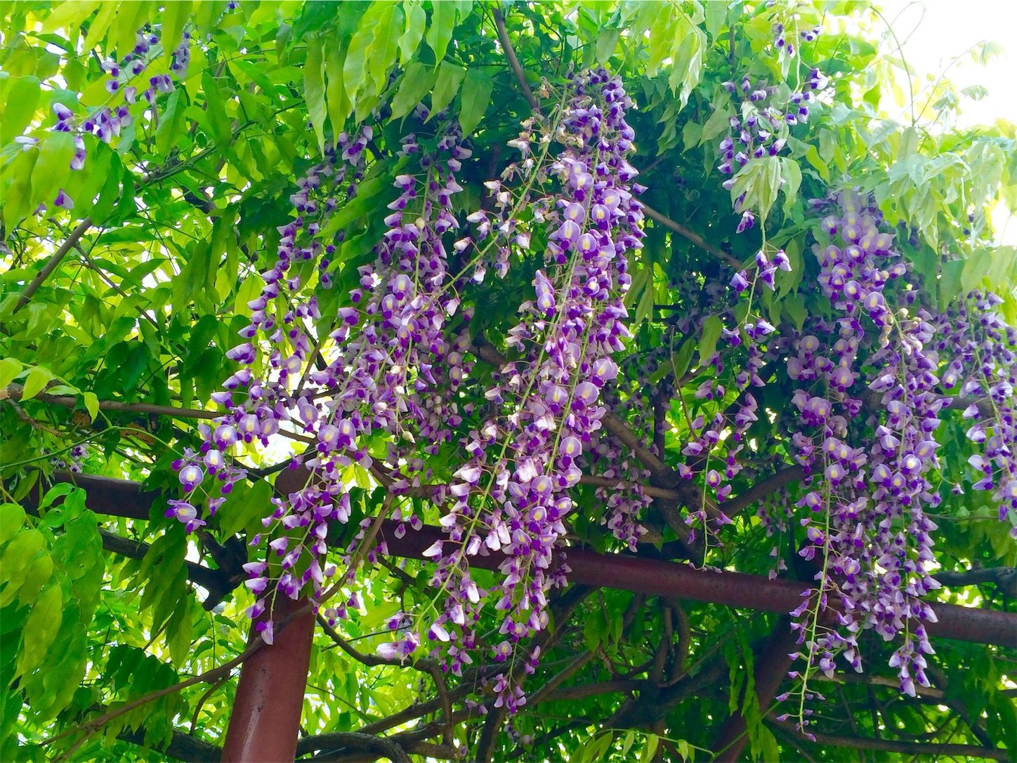 f:id:m-hatch:20160424222802j:image f:id:m-hatch:20160424222802j:image