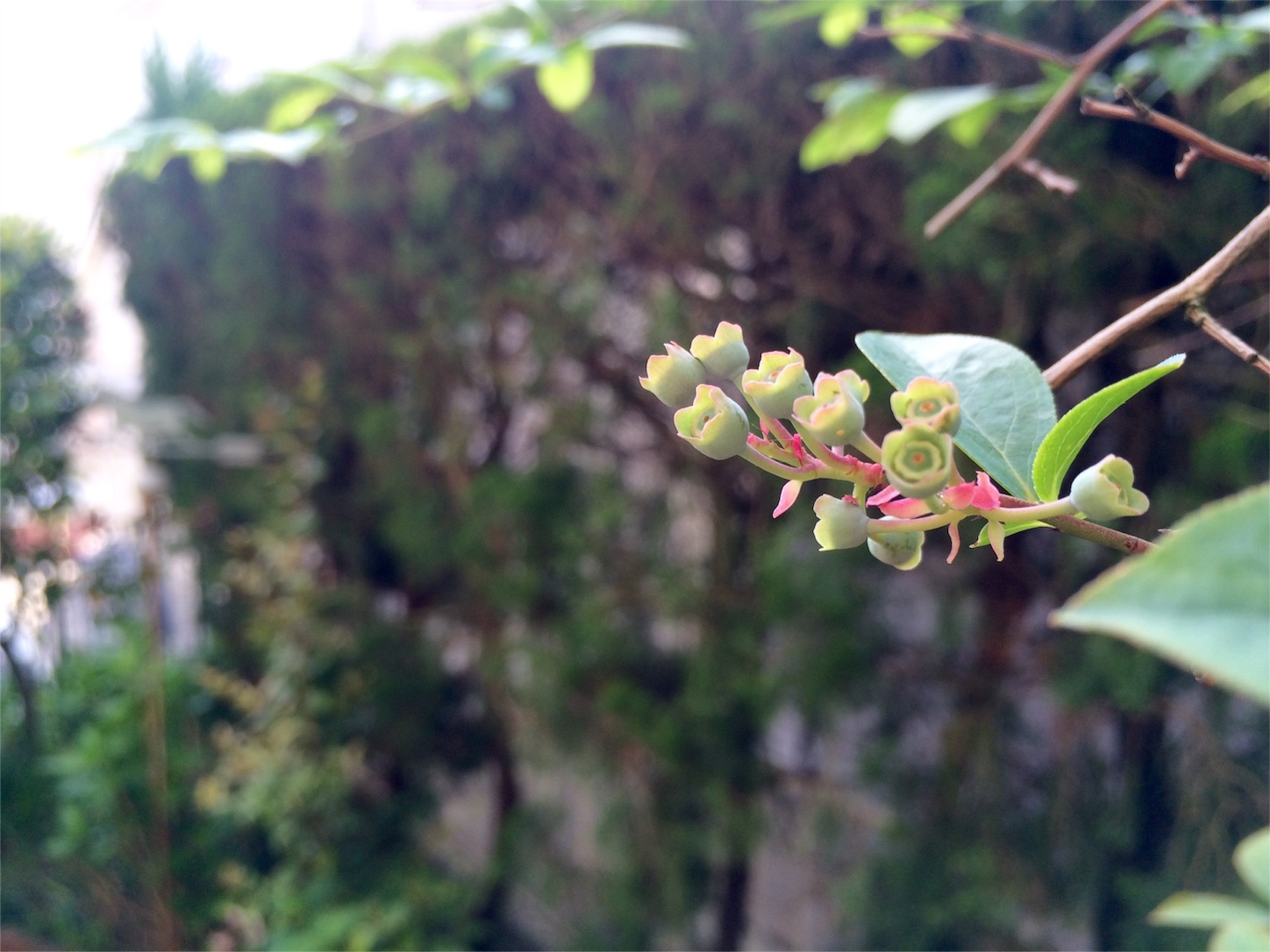 f:id:m-hatch:20160426223525j:image f:id:m-hatch:20160426223525j:image