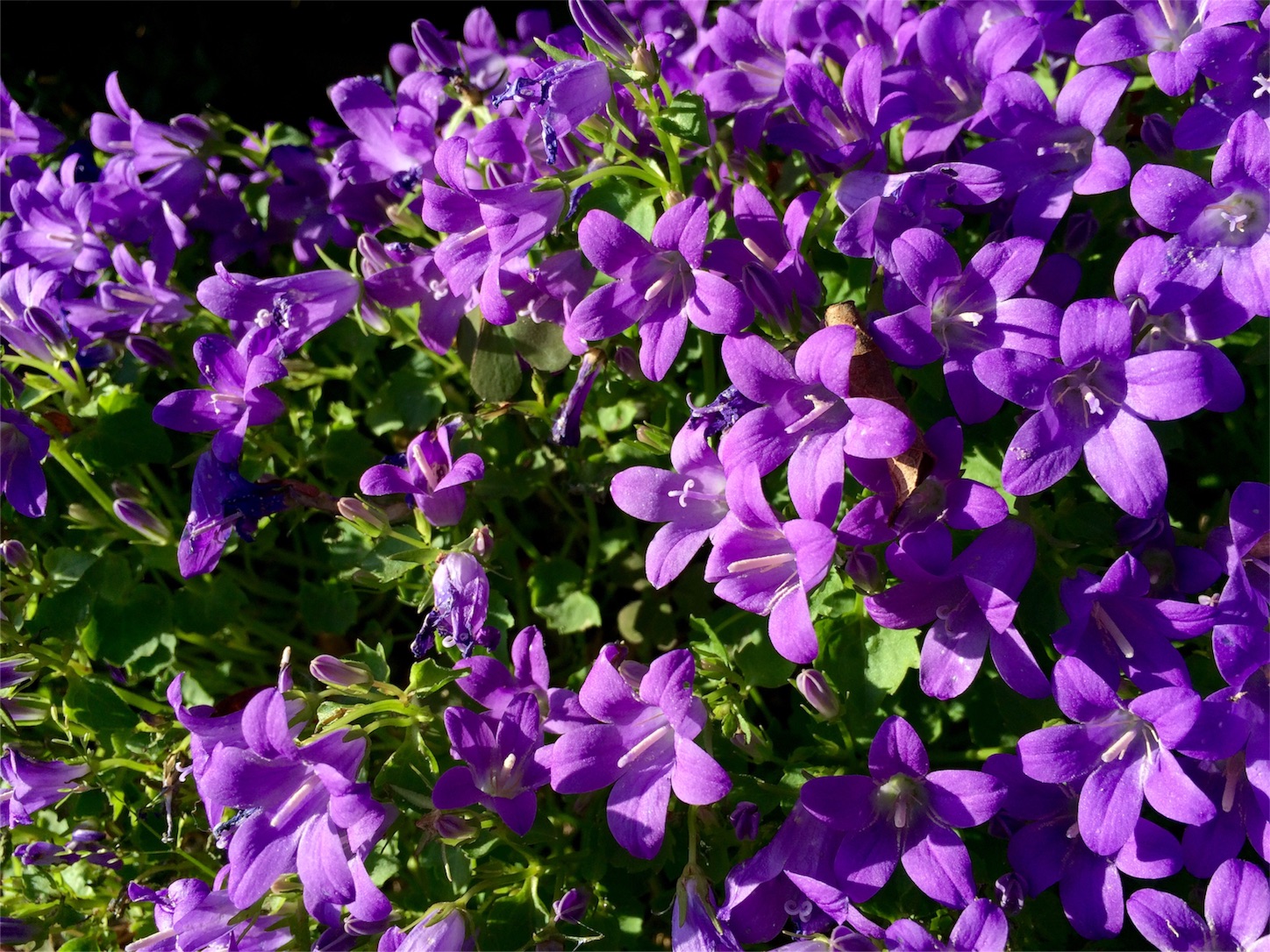 f:id:m-hatch:20160501000040j:image f:id:m-hatch:20160501000040j:image
