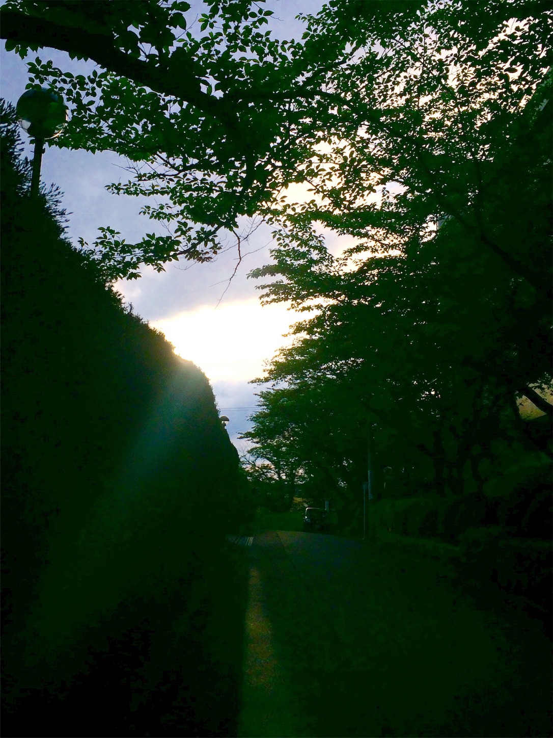 f:id:m-hatch:20160509225028j:image f:id:m-hatch:20160509225028j:image