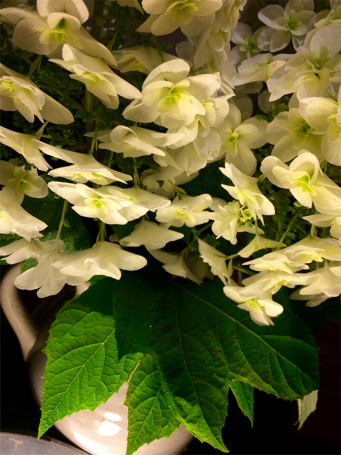 f:id:m-hatch:20160524003858j:image f:id:m-hatch:20160524003858j:image