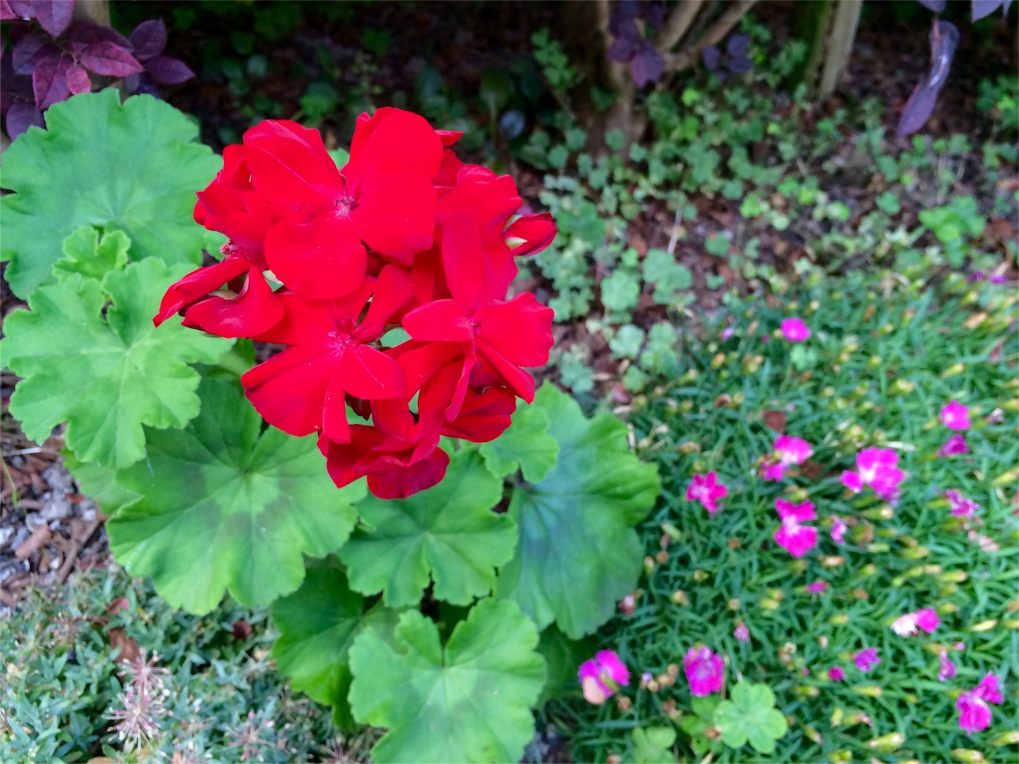 f:id:m-hatch:20160528220253j:image f:id:m-hatch:20160528220253j:image