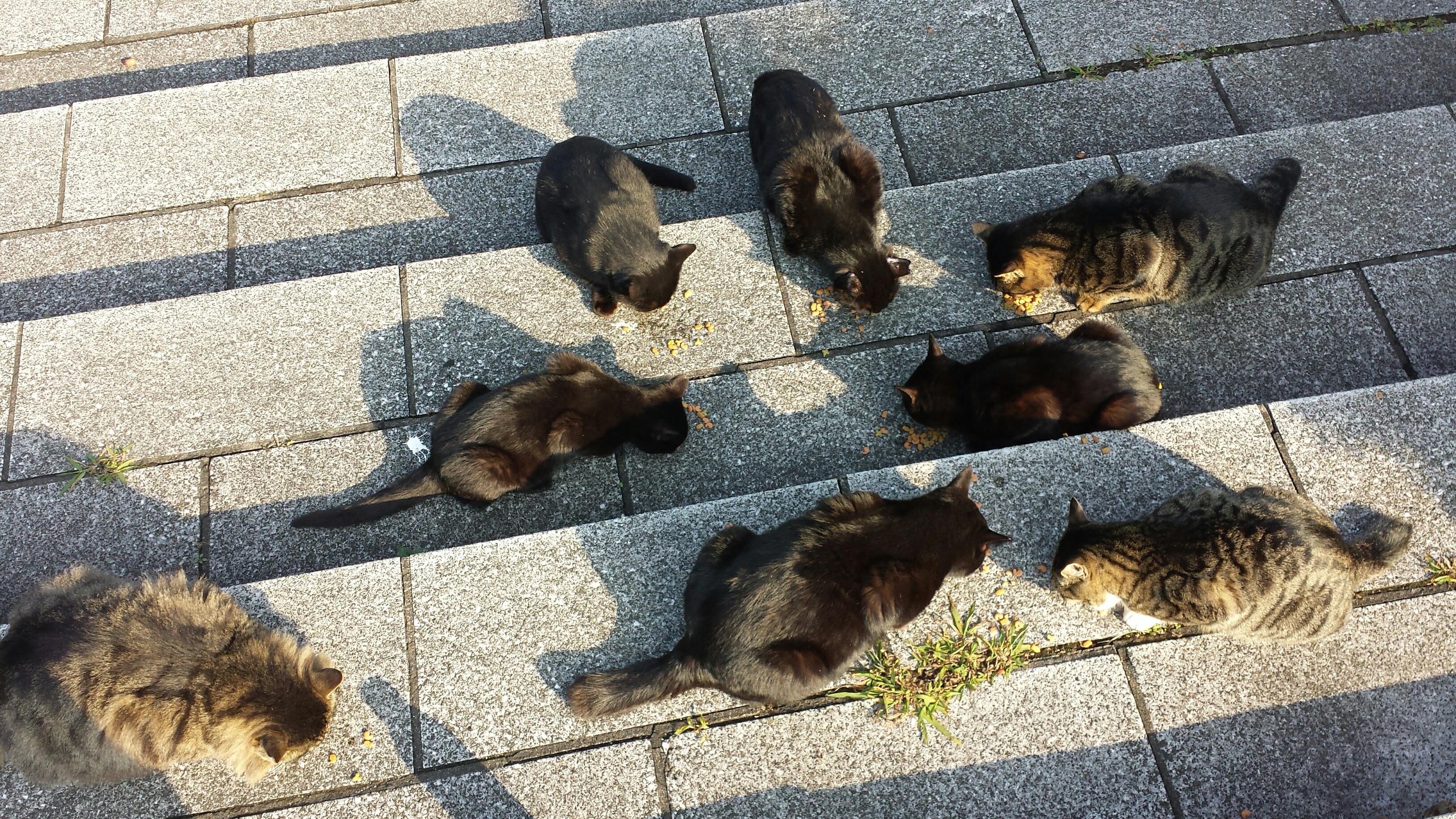 f:id:m-mocchan0629:20151217162706j:image f:id:m-mocchan0629:20151217162706j:image
