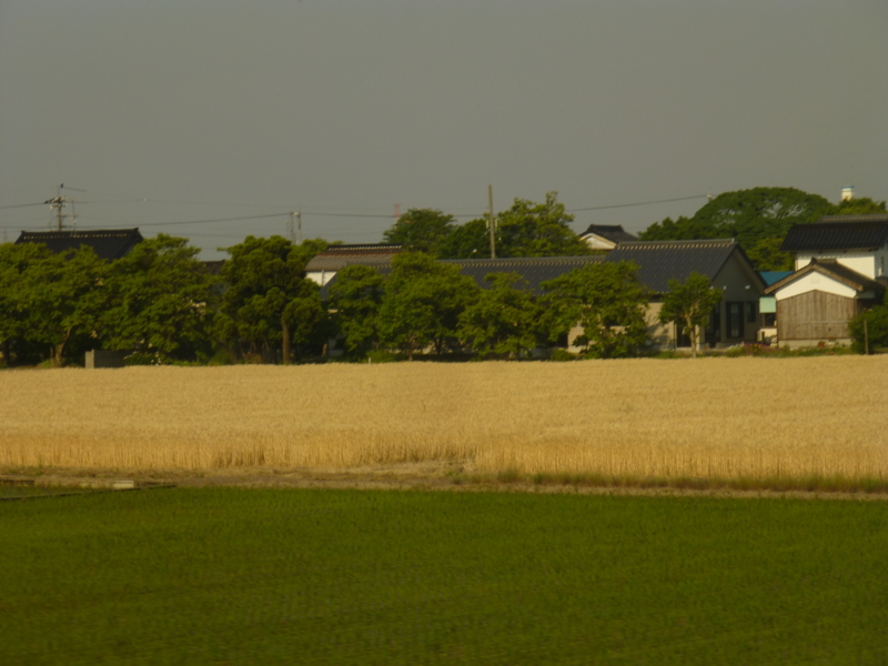 f:id:m-sizue:20150528095623j:plain