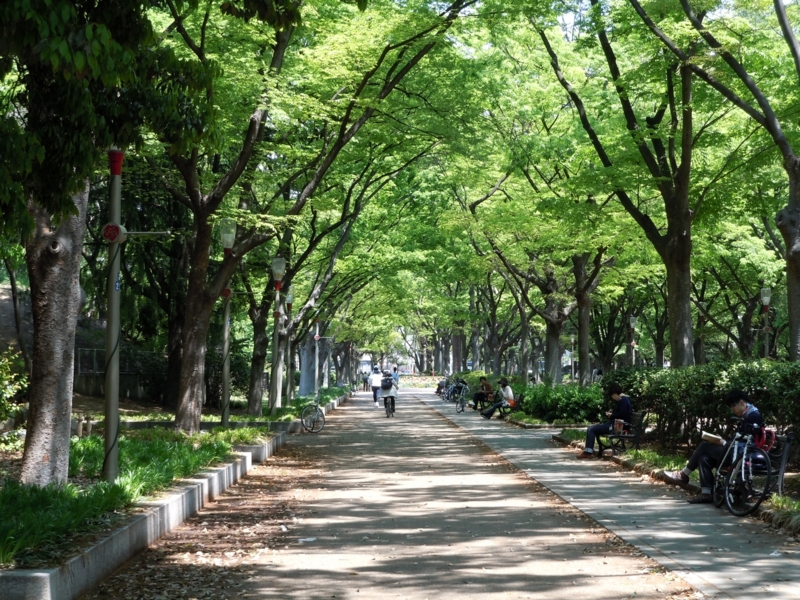 f:id:m3785com:20110429003827j:image:w360 f:id:m3785com:20110429003827j:image:w360