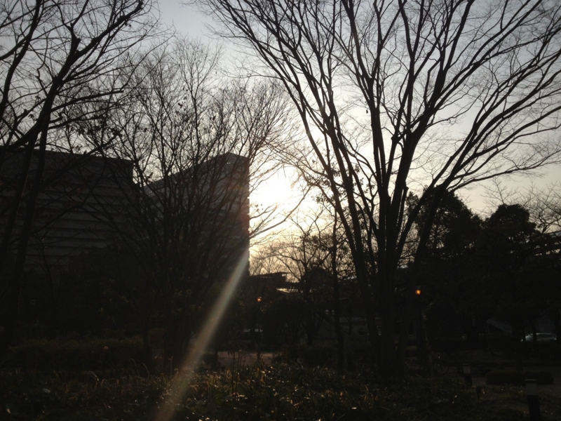 f:id:m3785com:20130225075503j:image:w360 f:id:m3785com:20130225075503j:image:w360