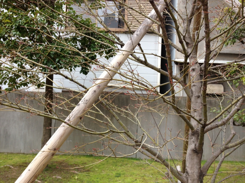 f:id:m3785com:20130320091648j:plain f:id:m3785com:20130320091648j:plain