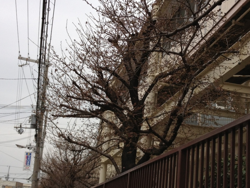 f:id:m3785com:20130320091918j:plain f:id:m3785com:20130320091918j:plain