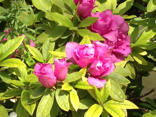 f:id:m3785com:20130416134846j:plain f:id:m3785com:20130416134846j:plain