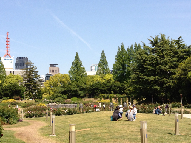 f:id:m3785com:20130508142436j:plain f:id:m3785com:20130508142436j:plain