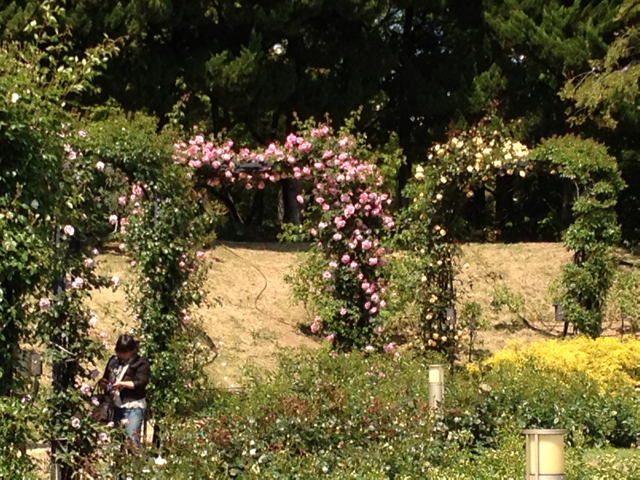f:id:m3785com:20130508142453j:plain f:id:m3785com:20130508142453j:plain