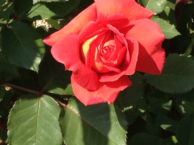 f:id:m3785com:20130508142812j:plain f:id:m3785com:20130508142812j:plain