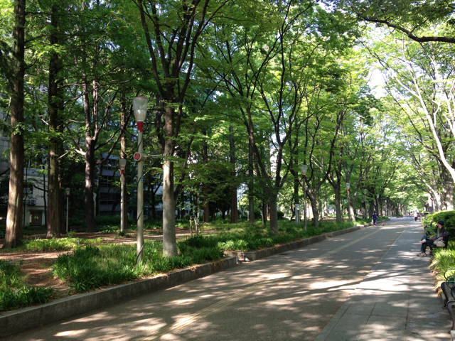 f:id:m3785com:20130518104518j:plain 靭公園