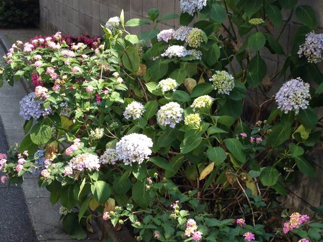f:id:m3785com:20130608125954j:plain f:id:m3785com:20130608125954j:plain