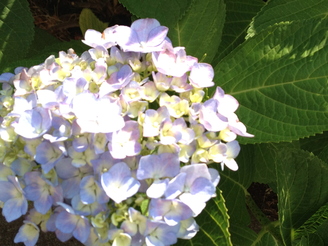 f:id:m3785com:20130608130523j:plain f:id:m3785com:20130608130523j:plain