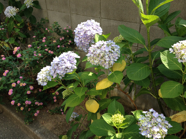 f:id:m3785com:20130608130539j:plain f:id:m3785com:20130608130539j:plain