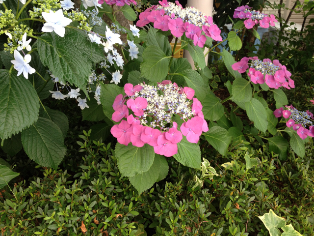 f:id:m3785com:20130609113333j:plain f:id:m3785com:20130609113333j:plain