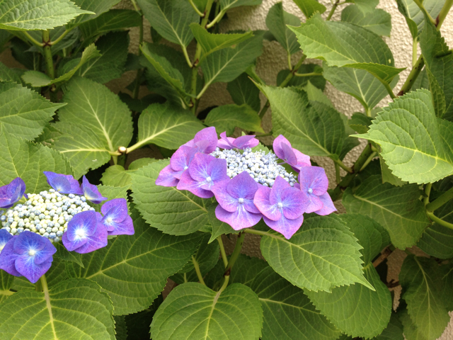f:id:m3785com:20130609113347j:plain f:id:m3785com:20130609113347j:plain